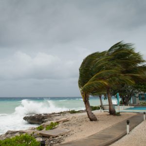 haeUheard wind weather hurricane